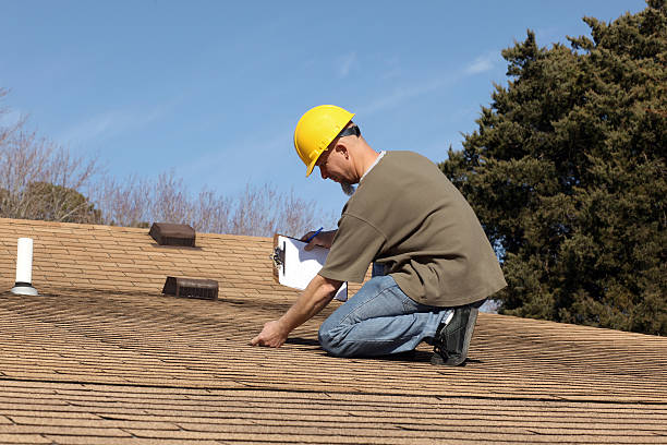 Best Roof Moss and Algae Removal  in North Crossett, AR